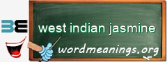 WordMeaning blackboard for west indian jasmine